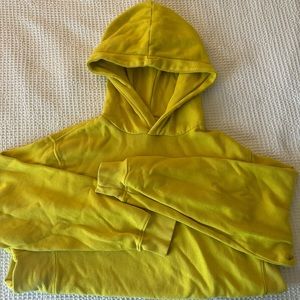 Cozy oversized aerie hoodie